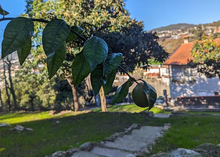 Cantinho Dos Avos - Country House