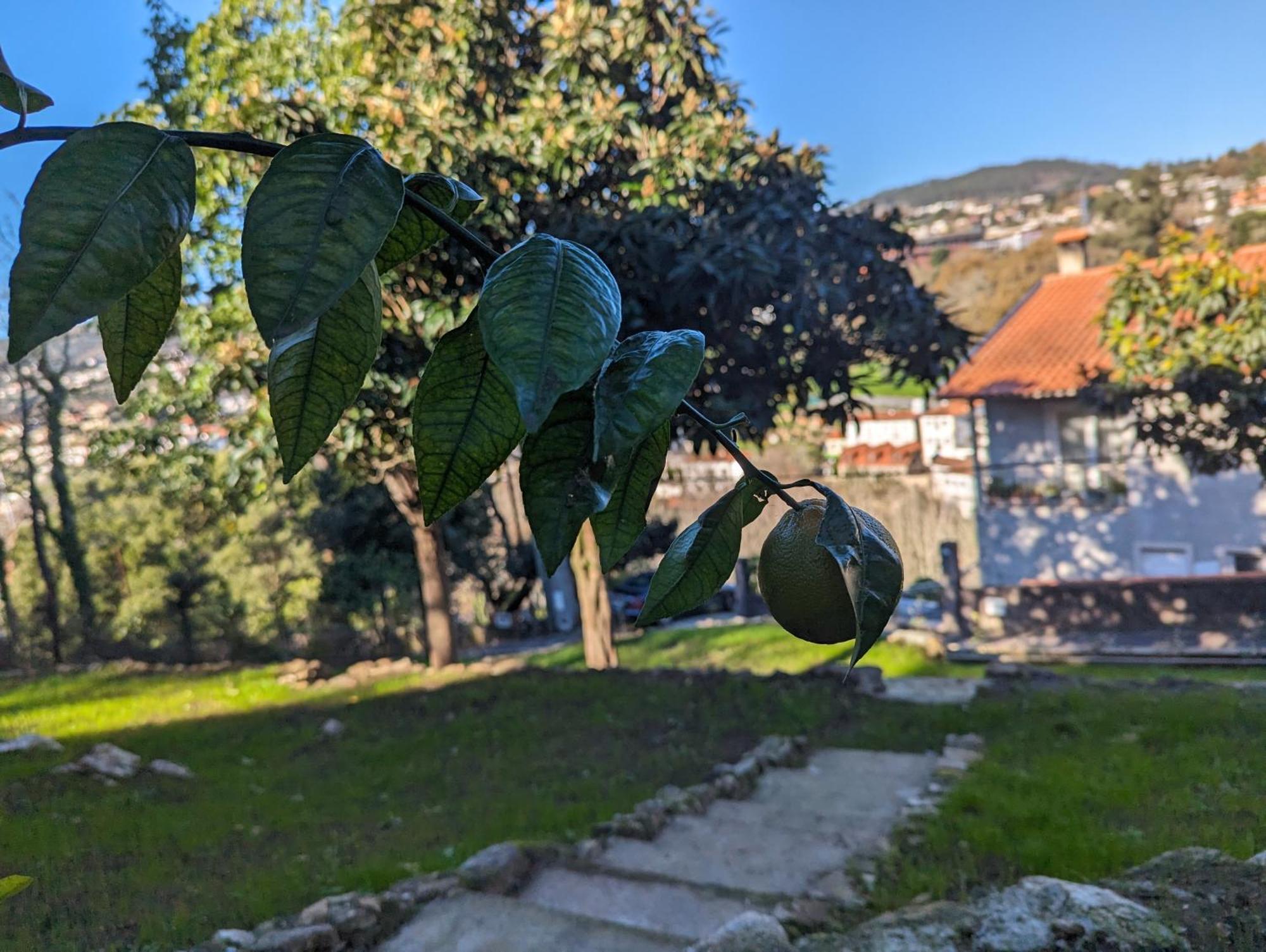 Cantinho Dos Avos - * Sever do Vouga